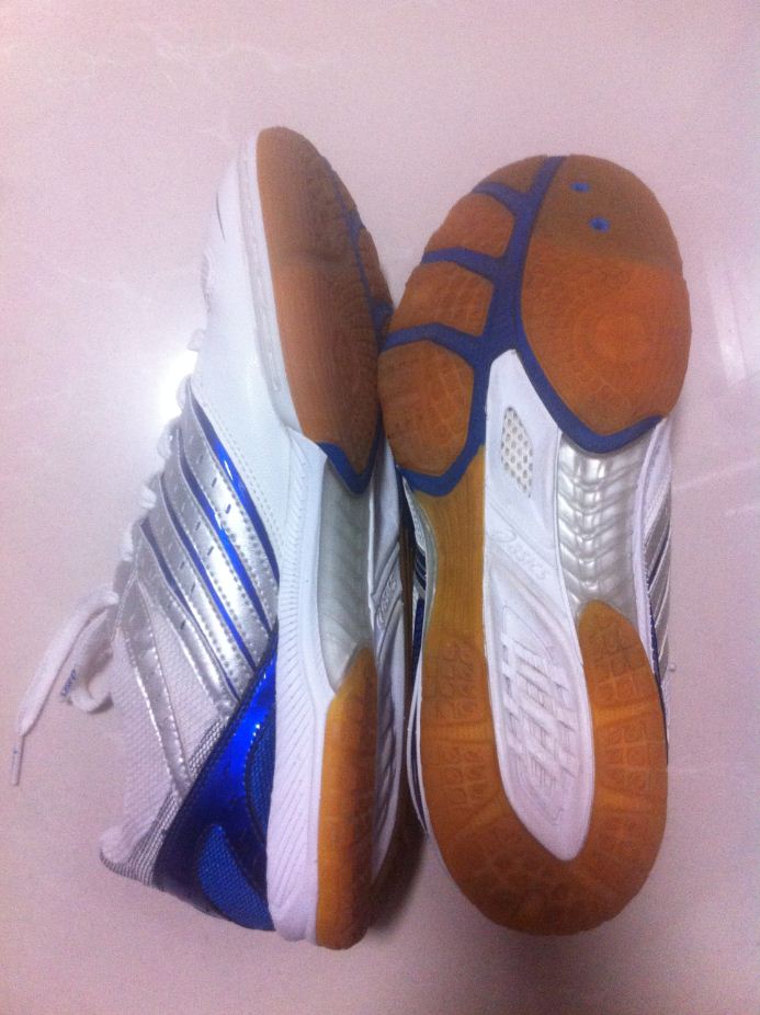 ASICS  ˹  TPA 329  43.5  510 + nike 43 300 