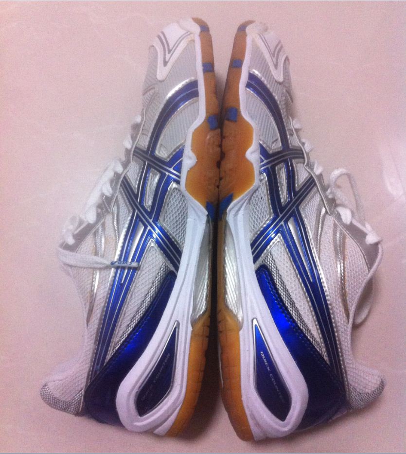 ASICS  ˹  TPA 329  43.5  510 + nike 43 300 