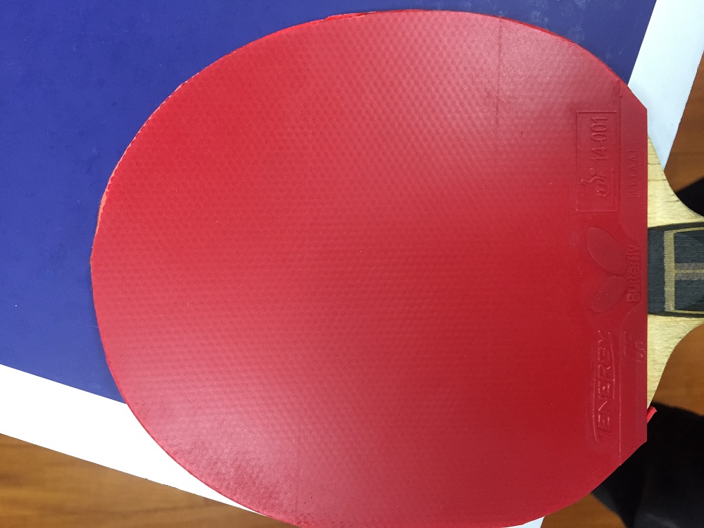 ����T05 T80 ���µ�maze