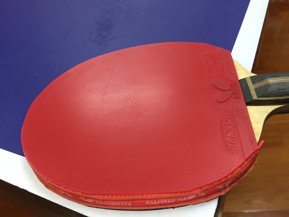 ����T05 T80 ���µ�maze