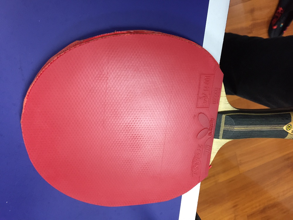 ����T05 T80 ���µ�maze