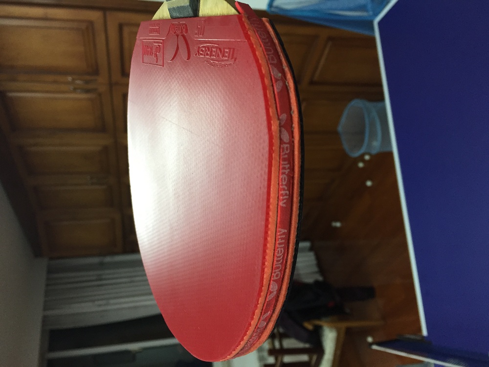 ����T05 T80 ���µ�maze