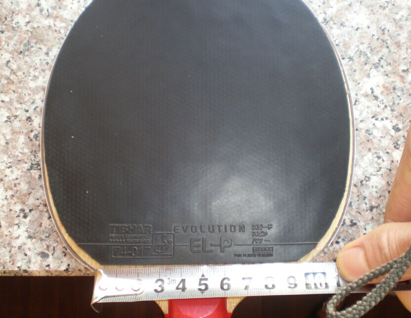 һ��һ�ڳ�ɫ������elp���������飡