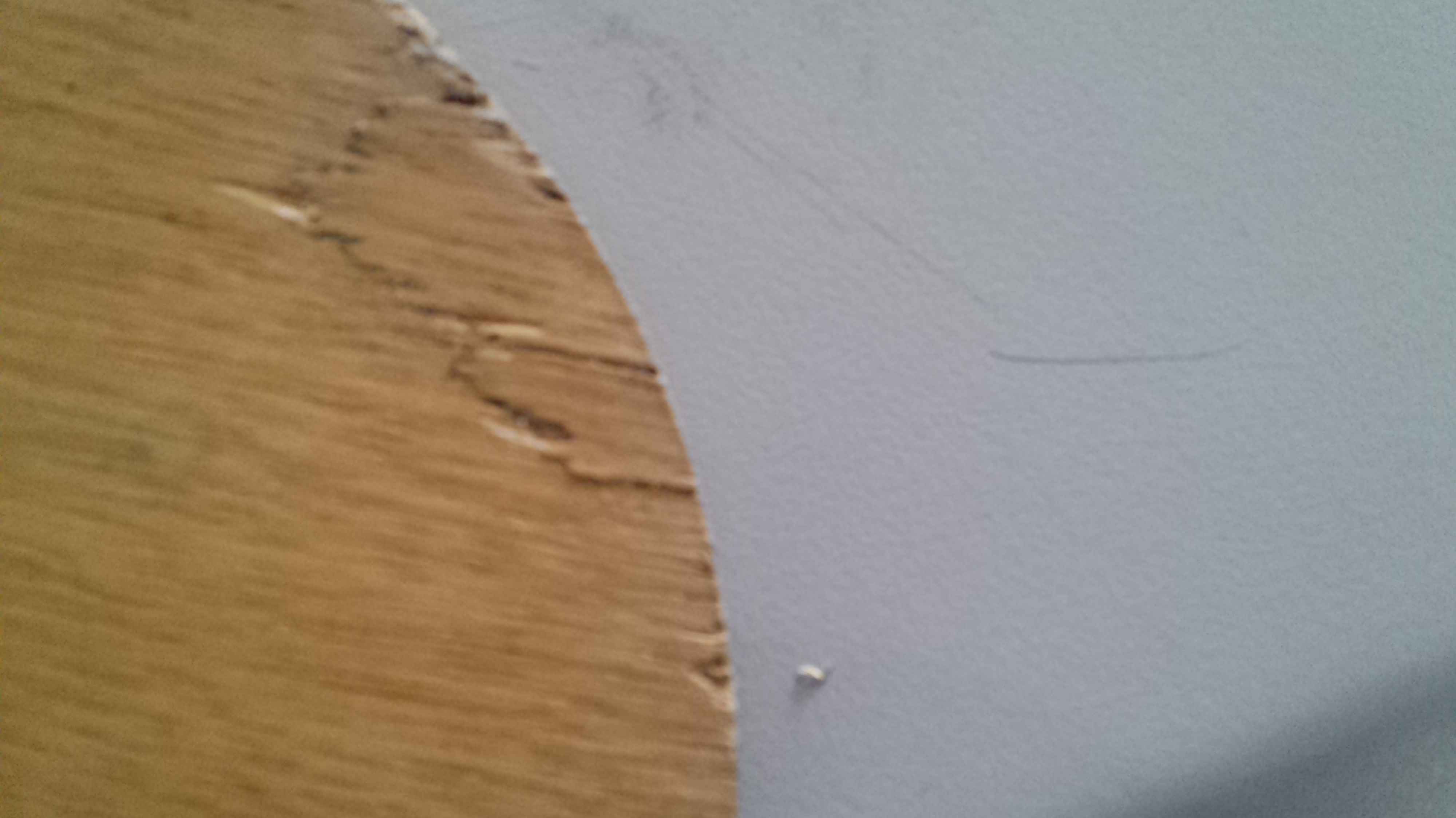 ���˳� ���� 260 ���� EG 100����