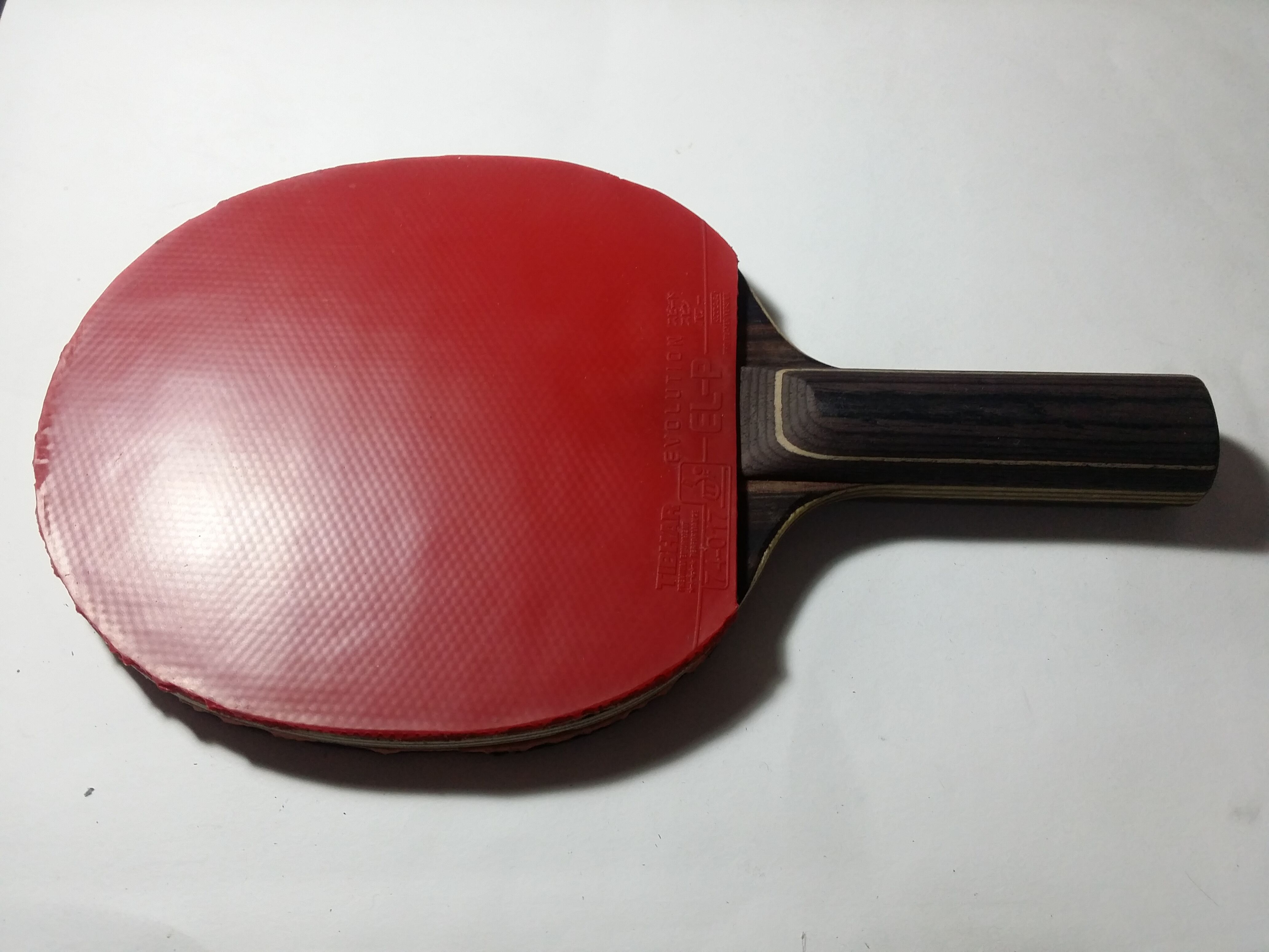 720���ʳ�STŷ���̴��+��������