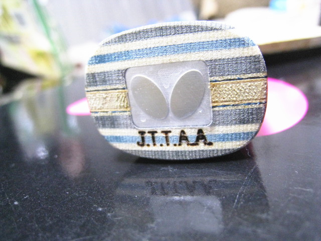 ��FL��VIS��֧��ST655һ֧