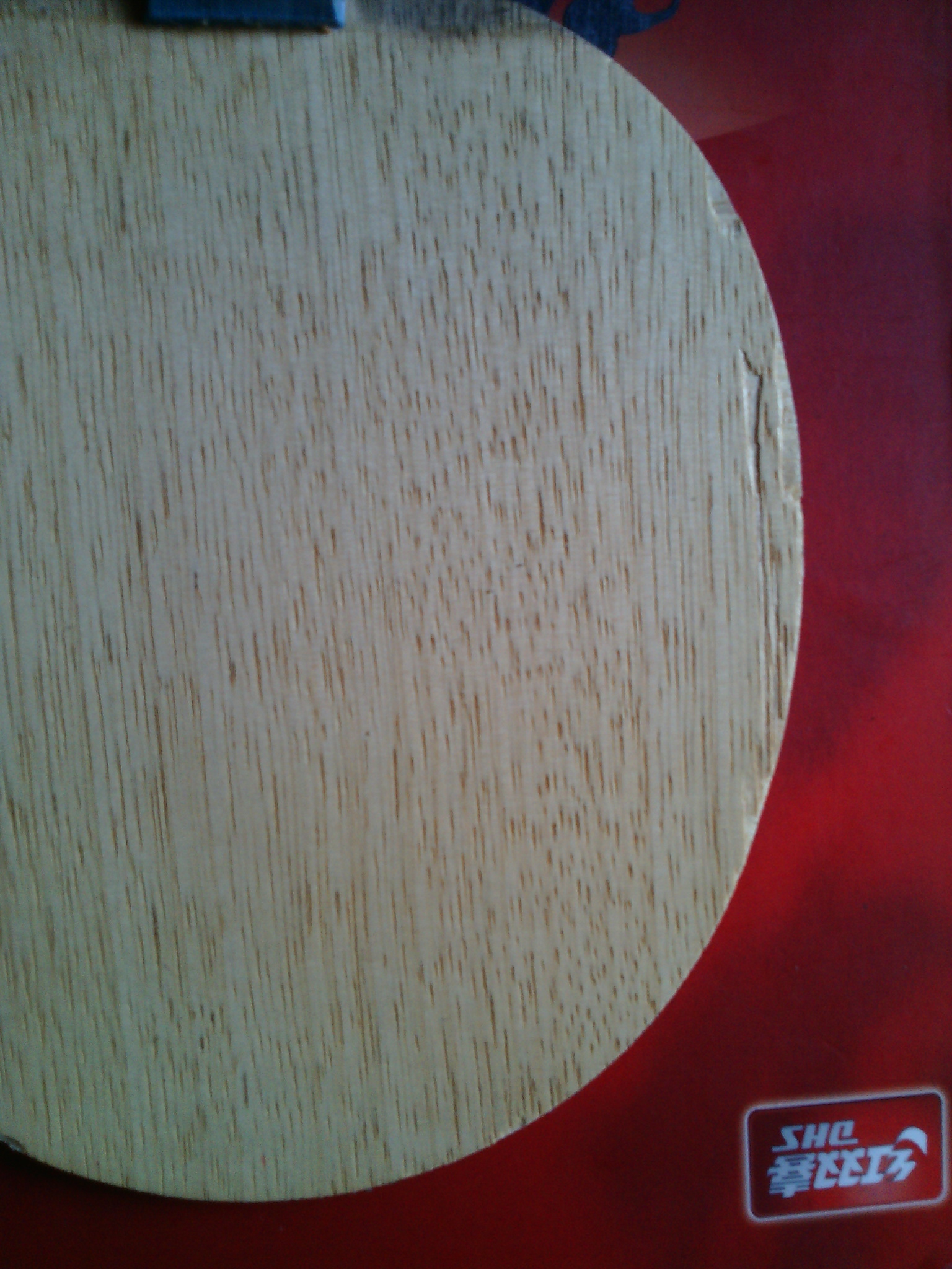 ���˳������ͽ�Ƥ��