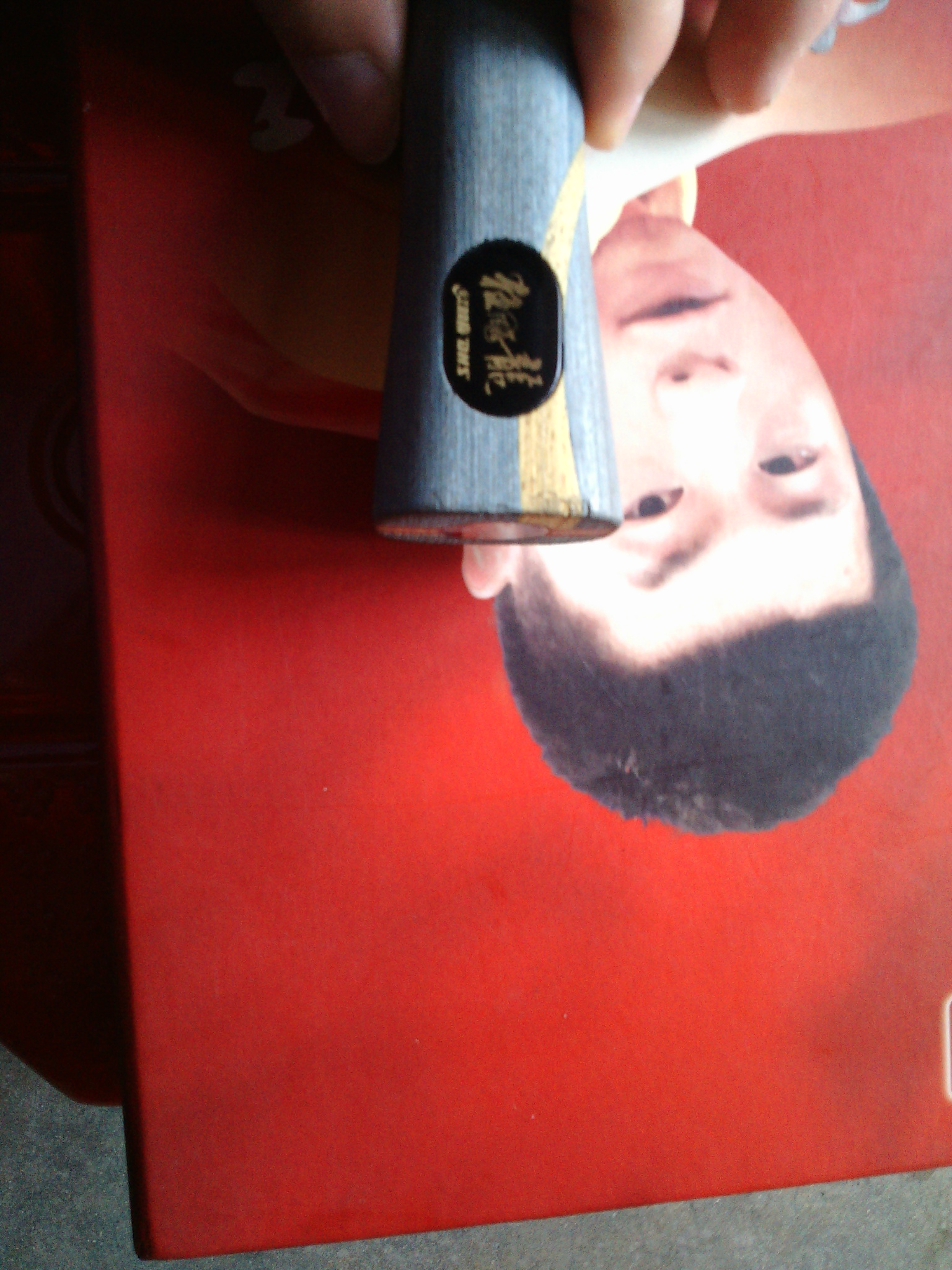 ���˳������ͽ�Ƥ��