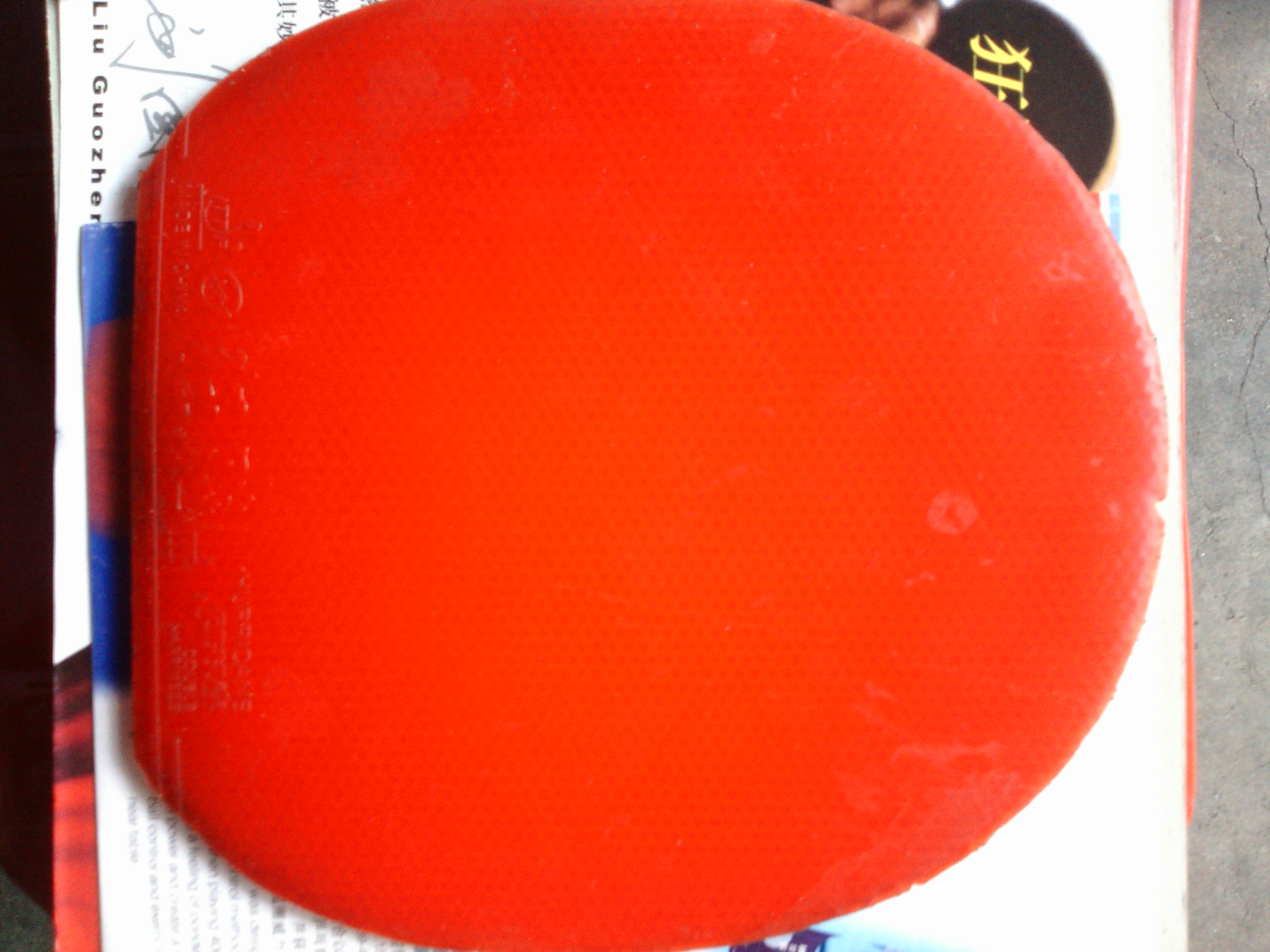 ���˳������ͽ�Ƥ��