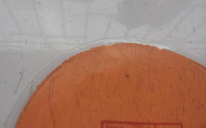 ����������80Ԫ����