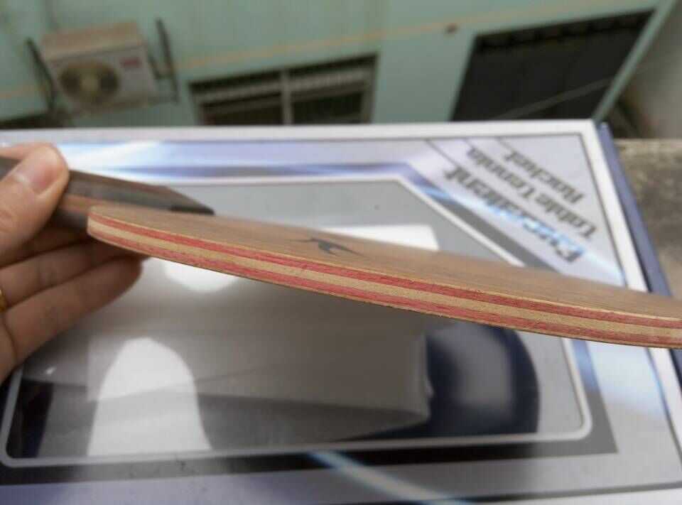 [�Ƽ�]  ��һ��ó�ɫ�� ������