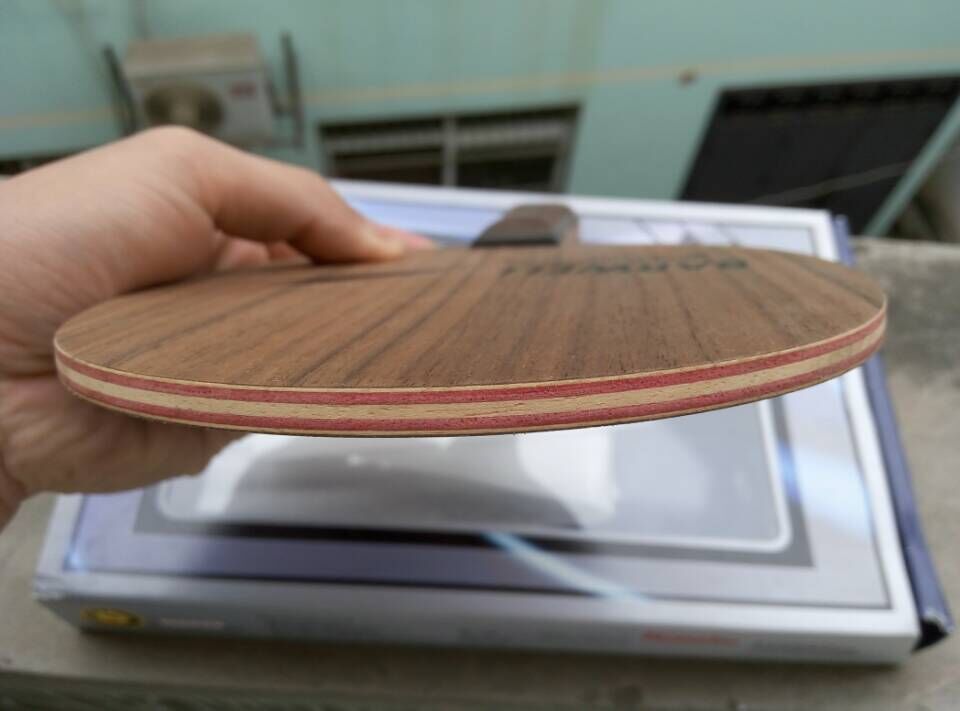 [�Ƽ�]  ��һ��ó�ɫ�� ������