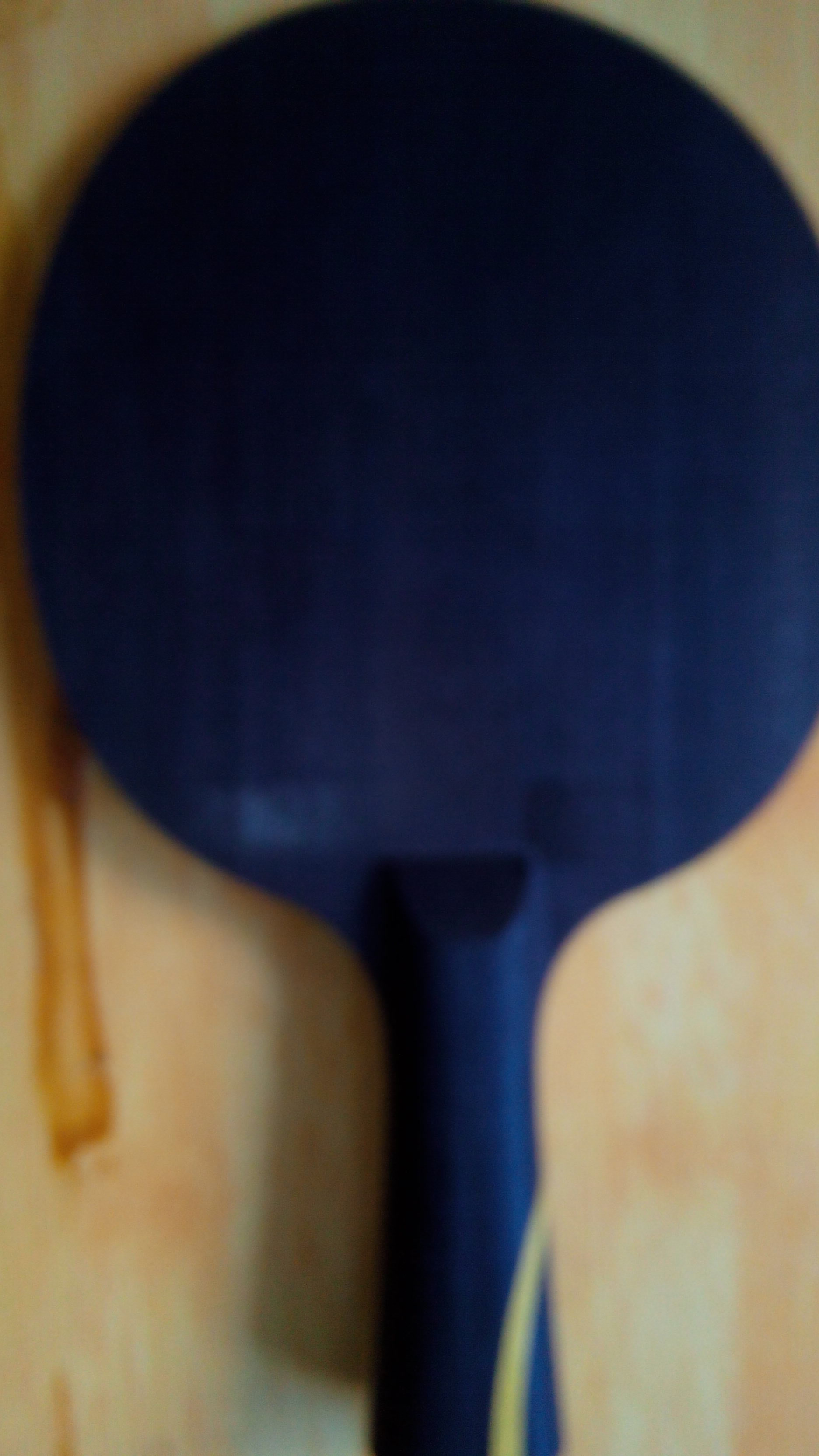 500���ʳ������������������ģ���ɫ9.9��