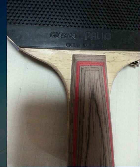 �����ҵĳ�������