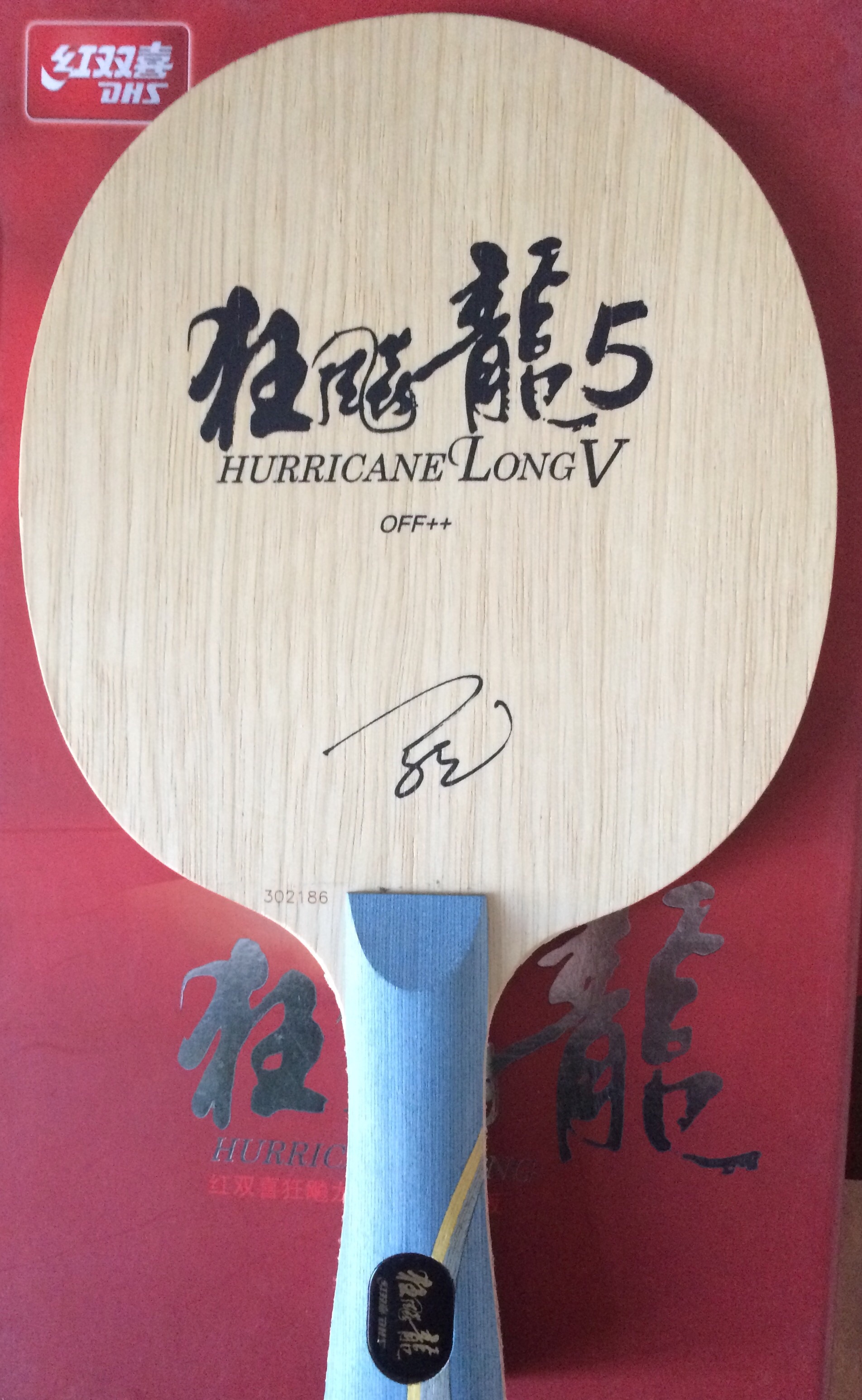 ��������׼����5