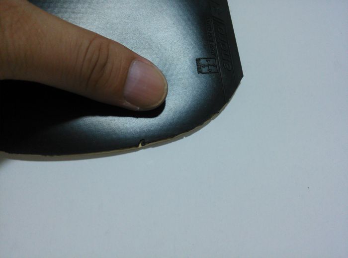 ������ROXON450��ڸ�һ�顣