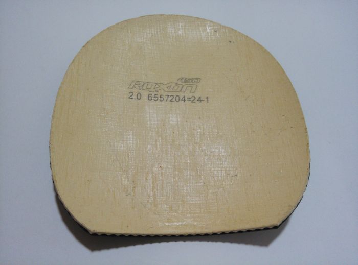 ������ROXON450��ڸ�һ�顣