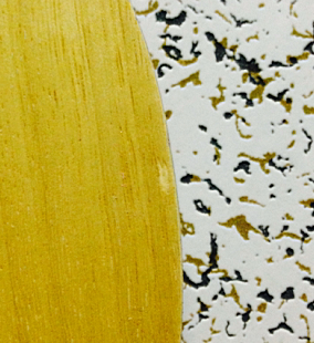 �����ⲣ����