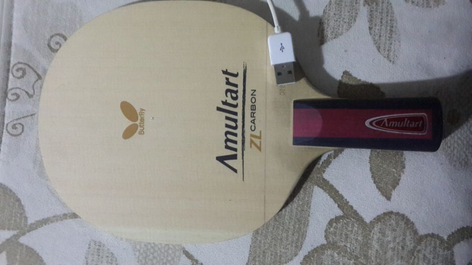 AMULTART22780