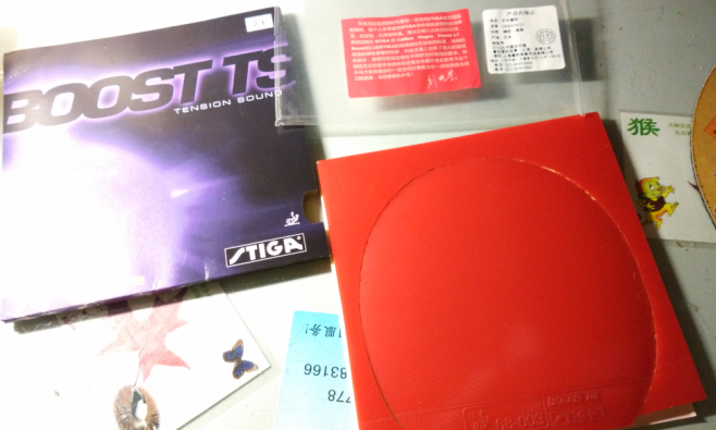 �������µ�stiga boost TS ��ɫ