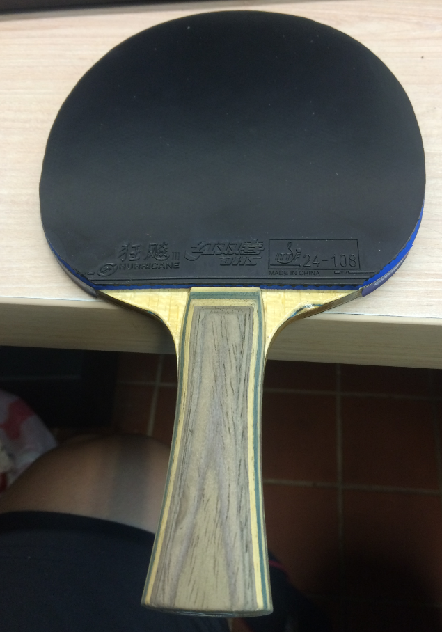 ֧������O��˫���������עVIS 91��FL����ʡ