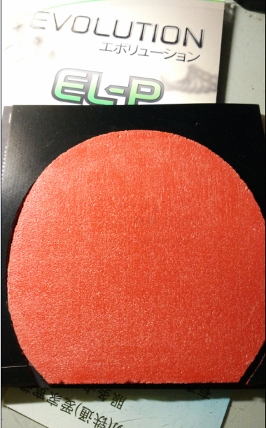 ͦαELP  