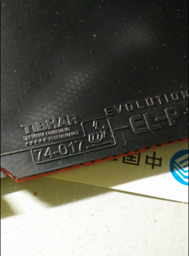 ͦαELP  
