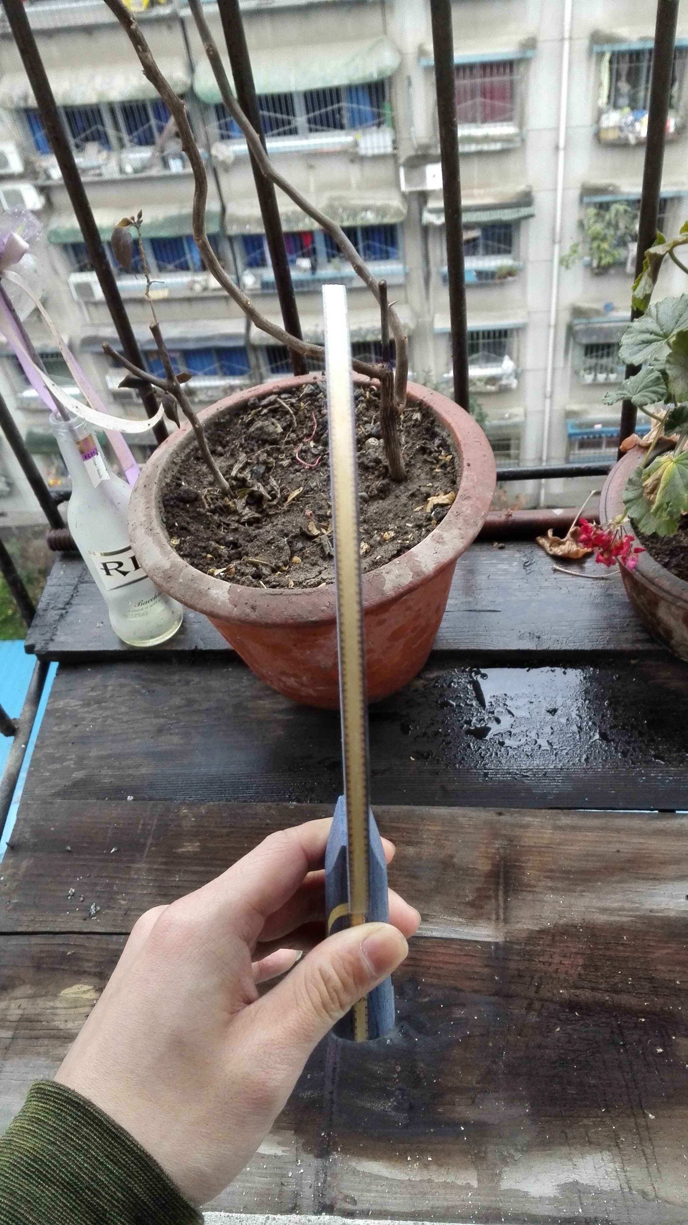  320ʳ