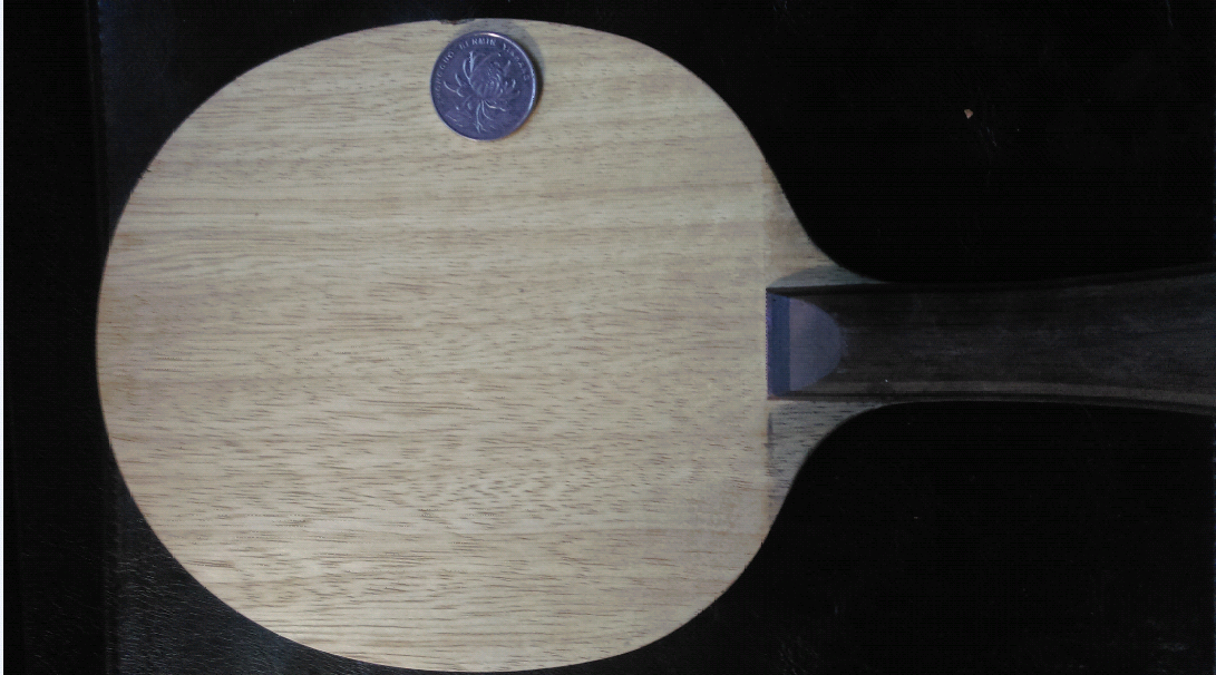 ��Ѫ���������� ������FL