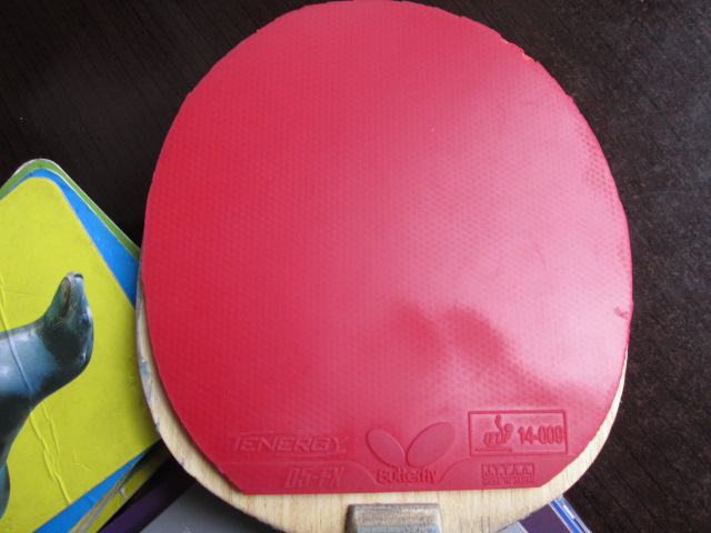 ��ɫ05-FX  2.1����      95����