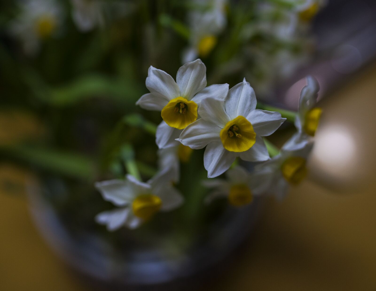 ���л�stiga��ǿľ