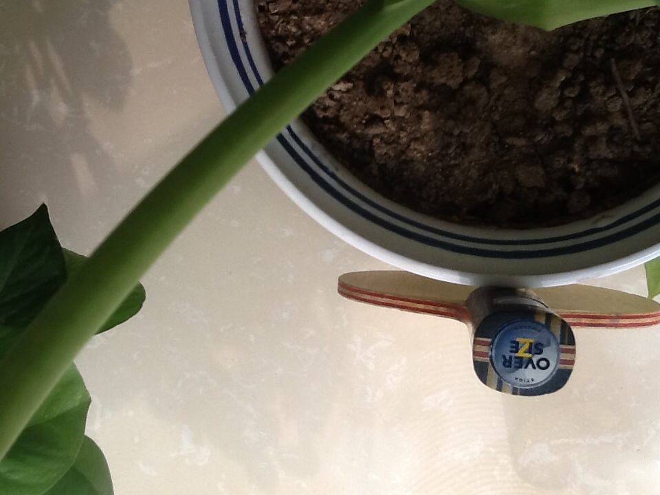 ˹�ٿ��Ʊ�CL���Ļ��