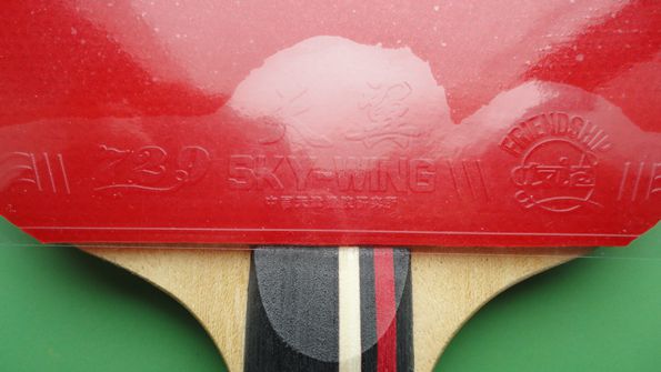 ���������ӵĳ����ģ��ʺϳ�ѧ�ߣ������65Ԫ������