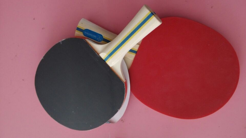 �ձ���������������