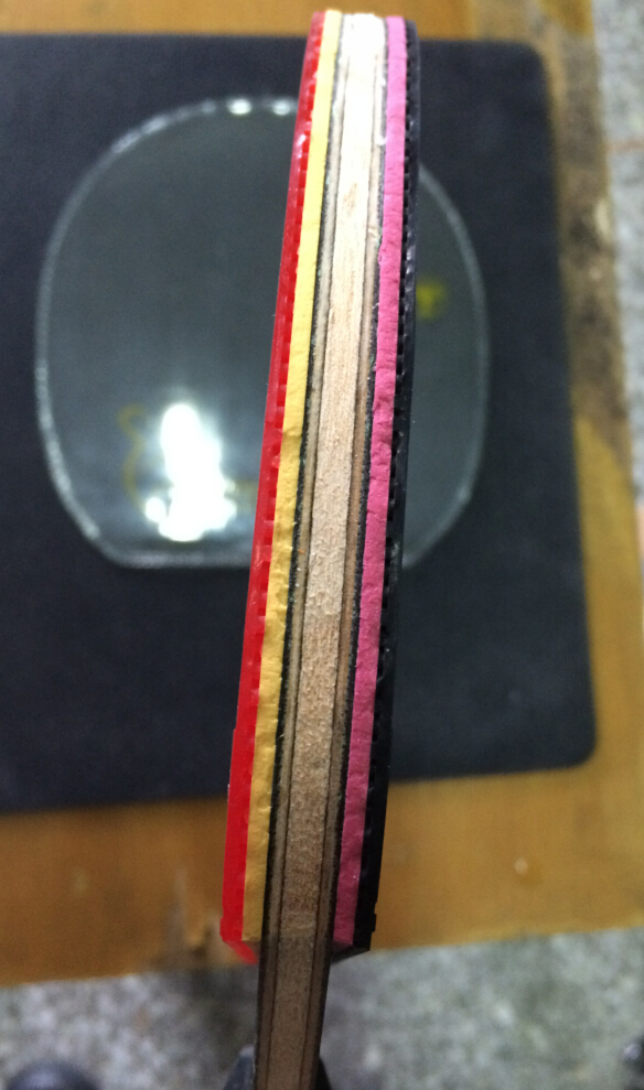 [ԭ��]�Գ�һ�����û���ε������Ŀ�˹͡8829