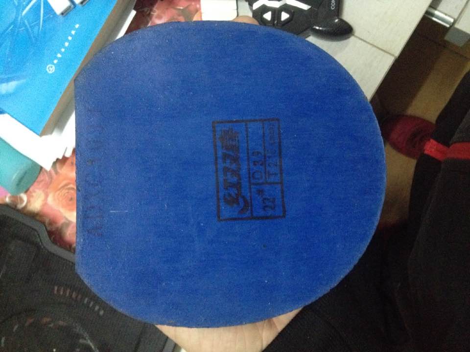 ����506����ʡ��ȫ����Ь���󵶽���