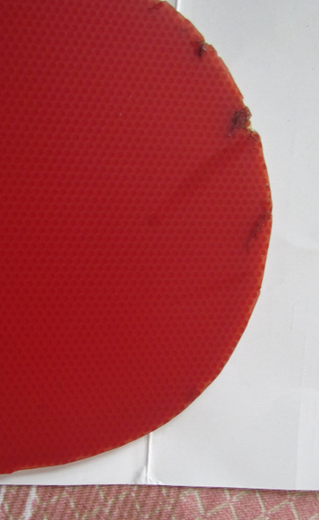 ����ƹ������