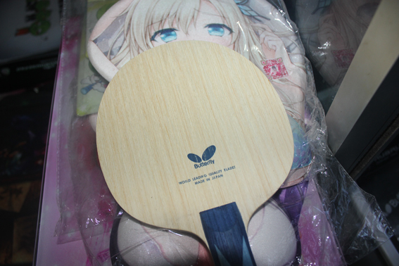 ����ͼ  ����ALC ������˹����+������ZAP ���˼�����