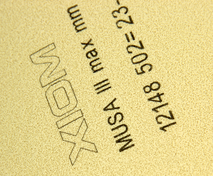 Ԫɬ׵?-------XIOM MUSA   ɫ׽