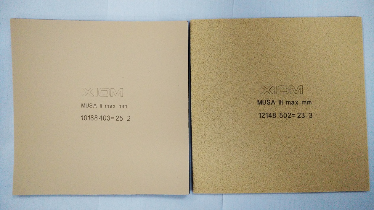 Ԫɬ׵?-------XIOM MUSA   ɫ׽
