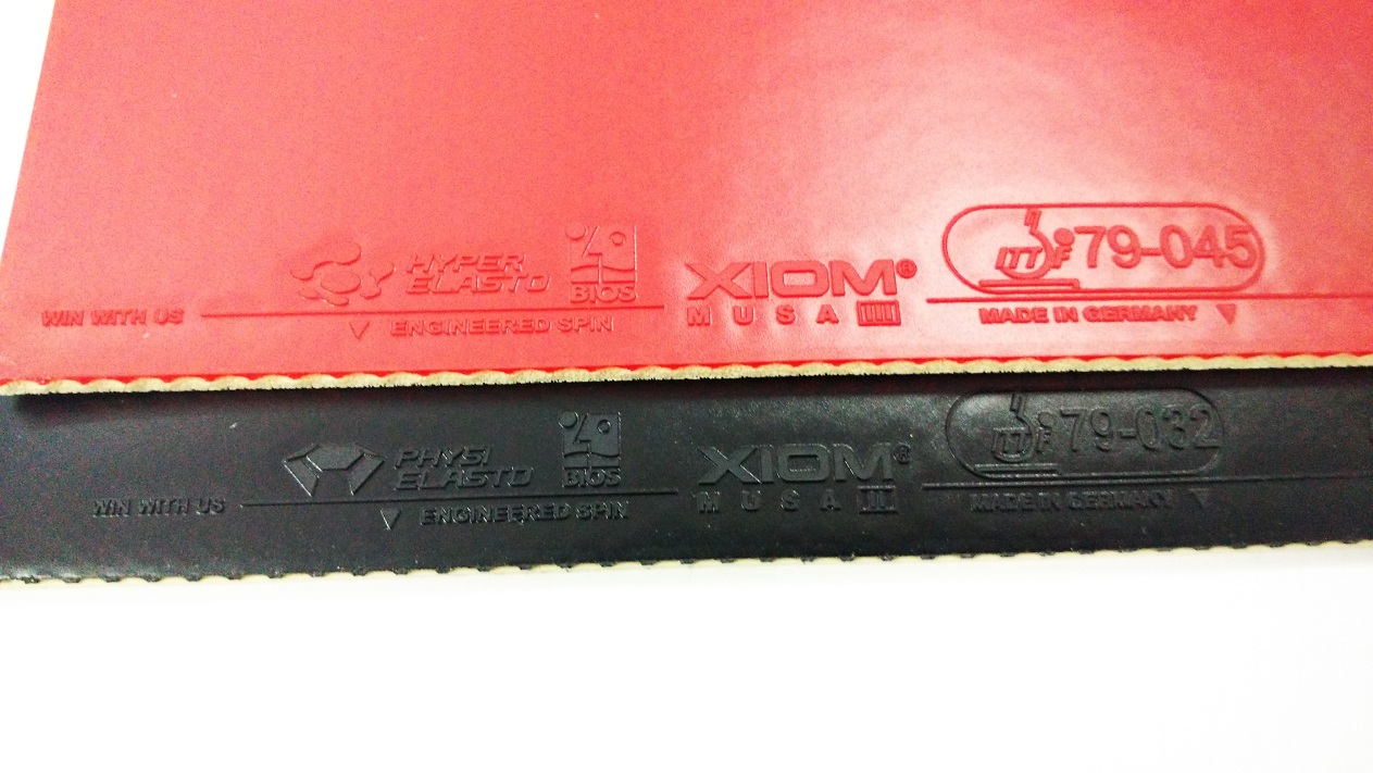 Ԫɬ׵?-------XIOM MUSA   ɫ׽