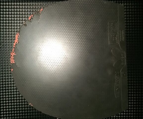 �����˼��ε���ʡ������3���µ�05