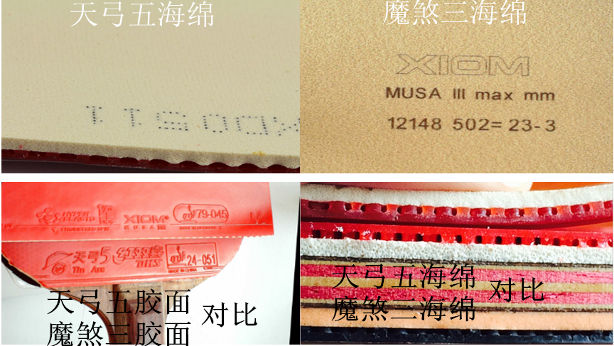 Ħ��Ħ������ħ���Ĳ���----����ħɷ���и�