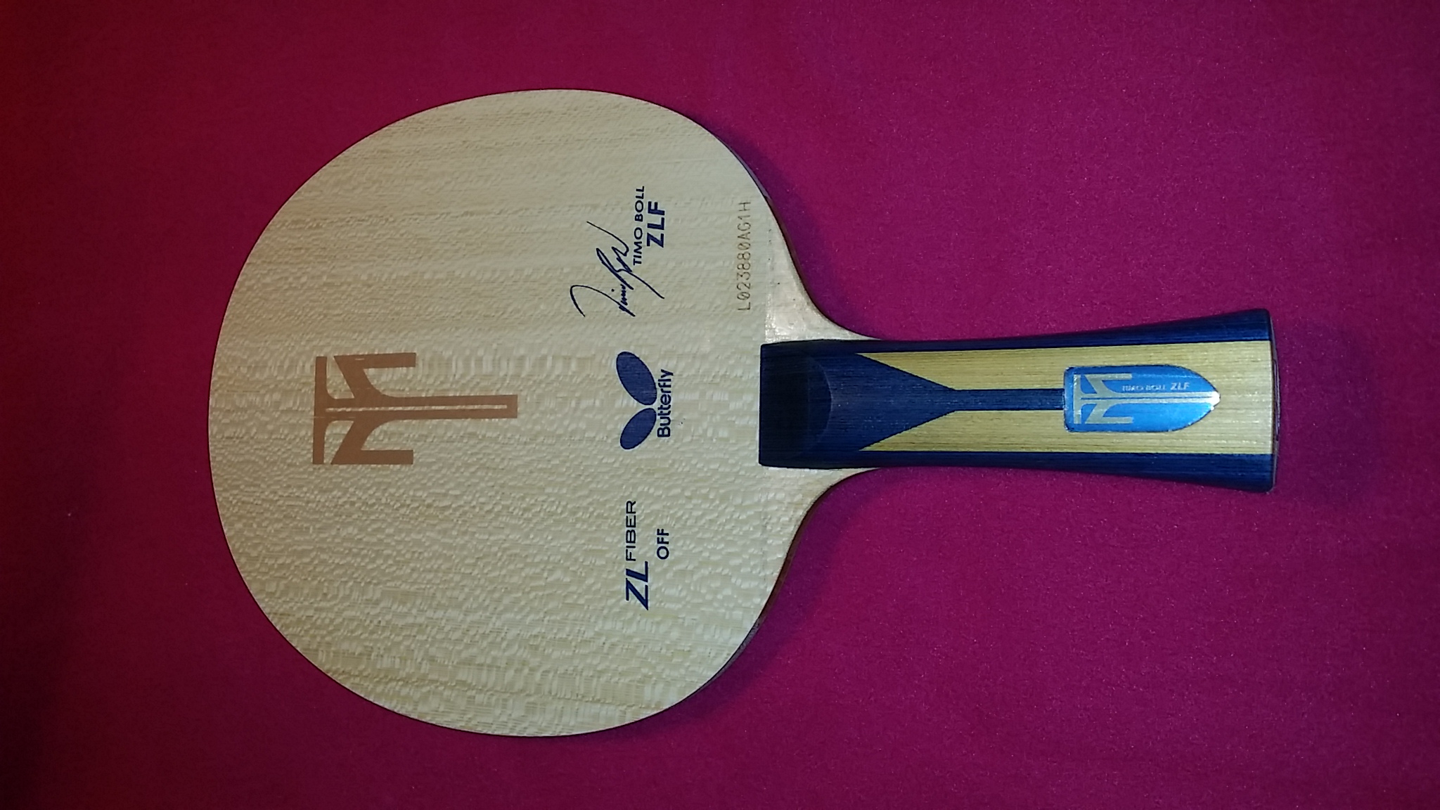 [ԭ��]�Գ���ɫ�õ��л�����zlf��FL����