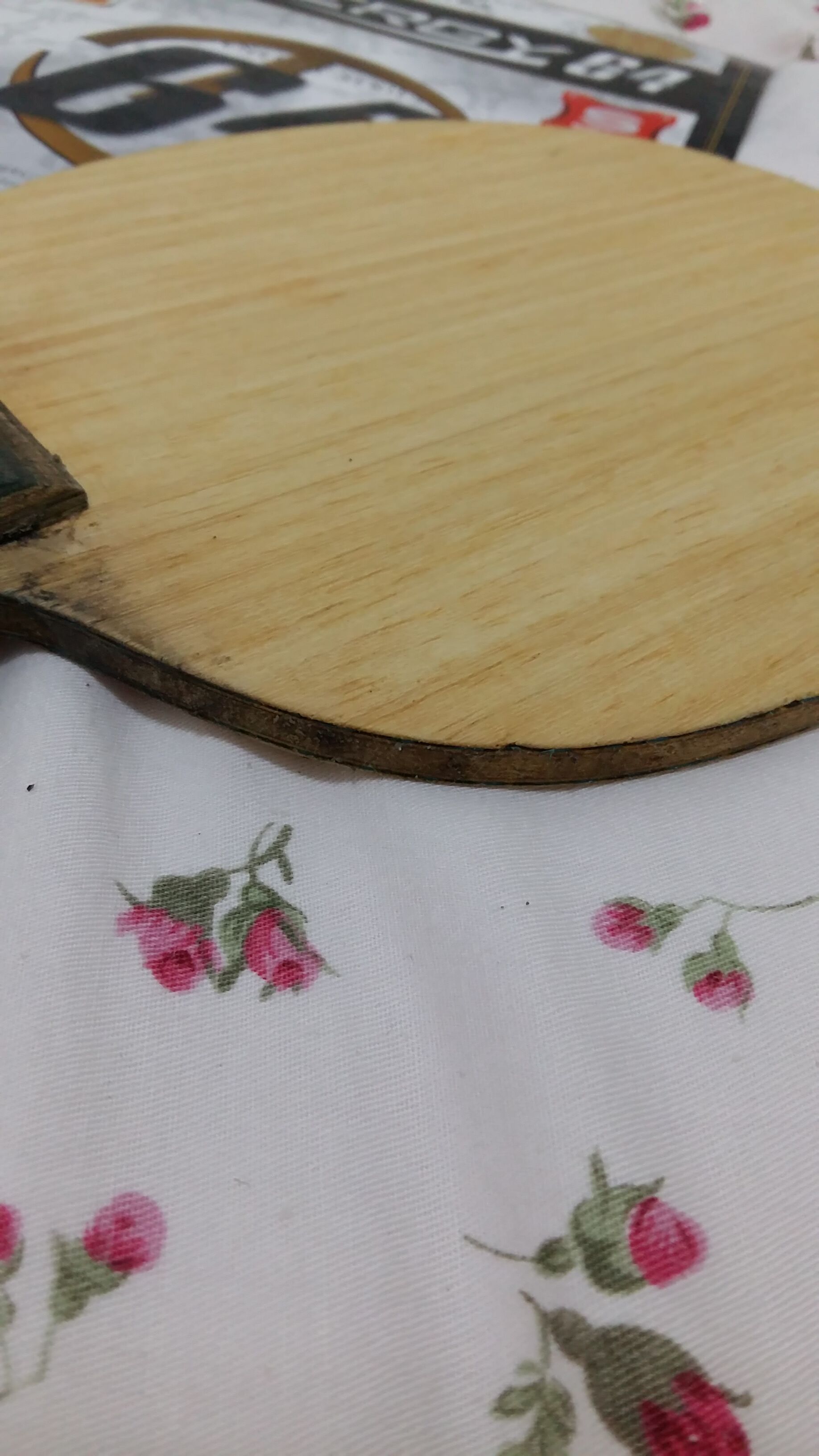 VISCARIA+NEO��ʡ&ͦ������+