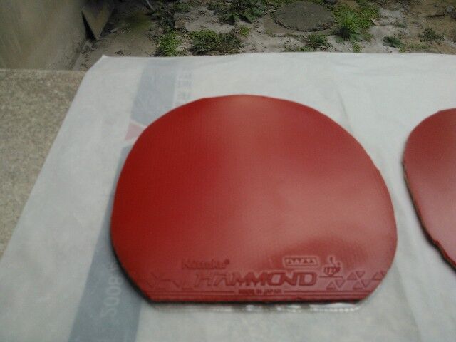 ����ͺ�˫ϲ�칭5���⺣�࣬150����ȫ��