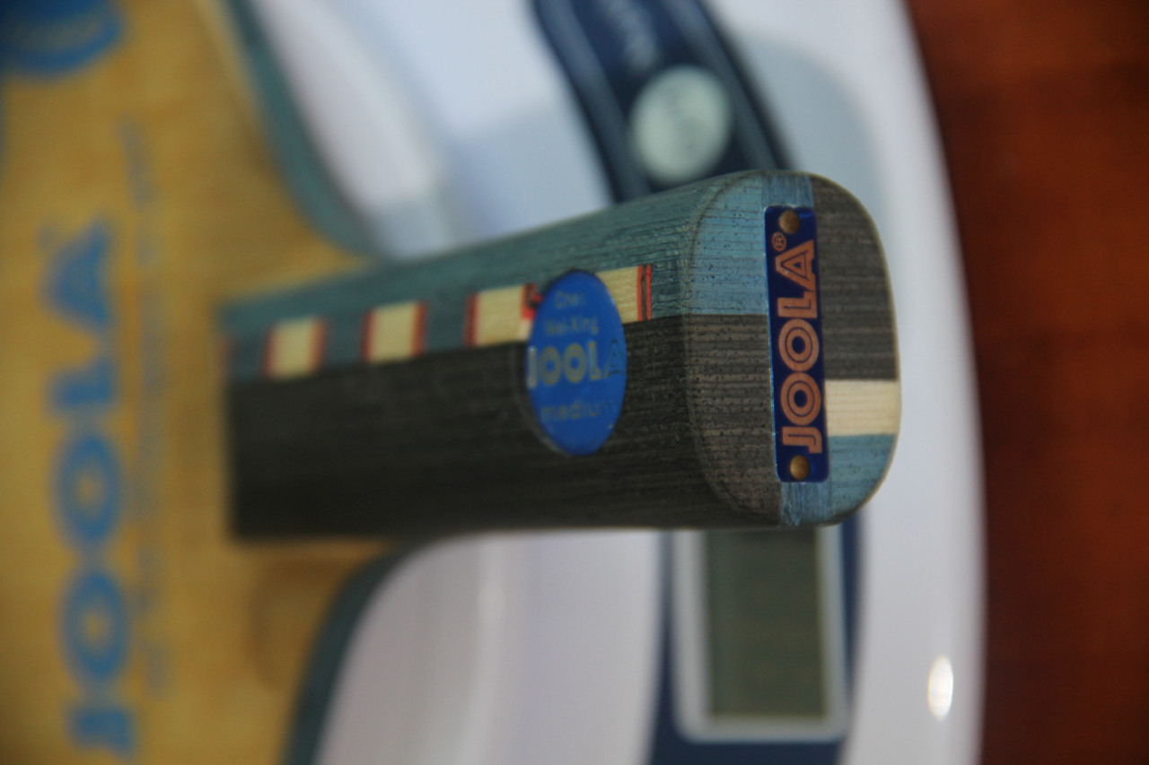 ����Ұ���ġ����������ǣ���������ľ��������