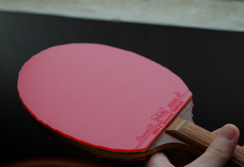 ��������εĺ�ɫEL MAX��������׼���档110����