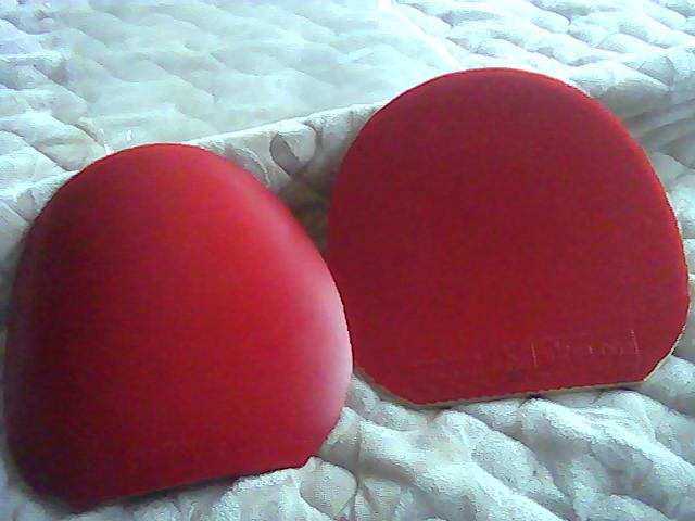 �����׽�======������====�����MAX===��ɫ9��---245����