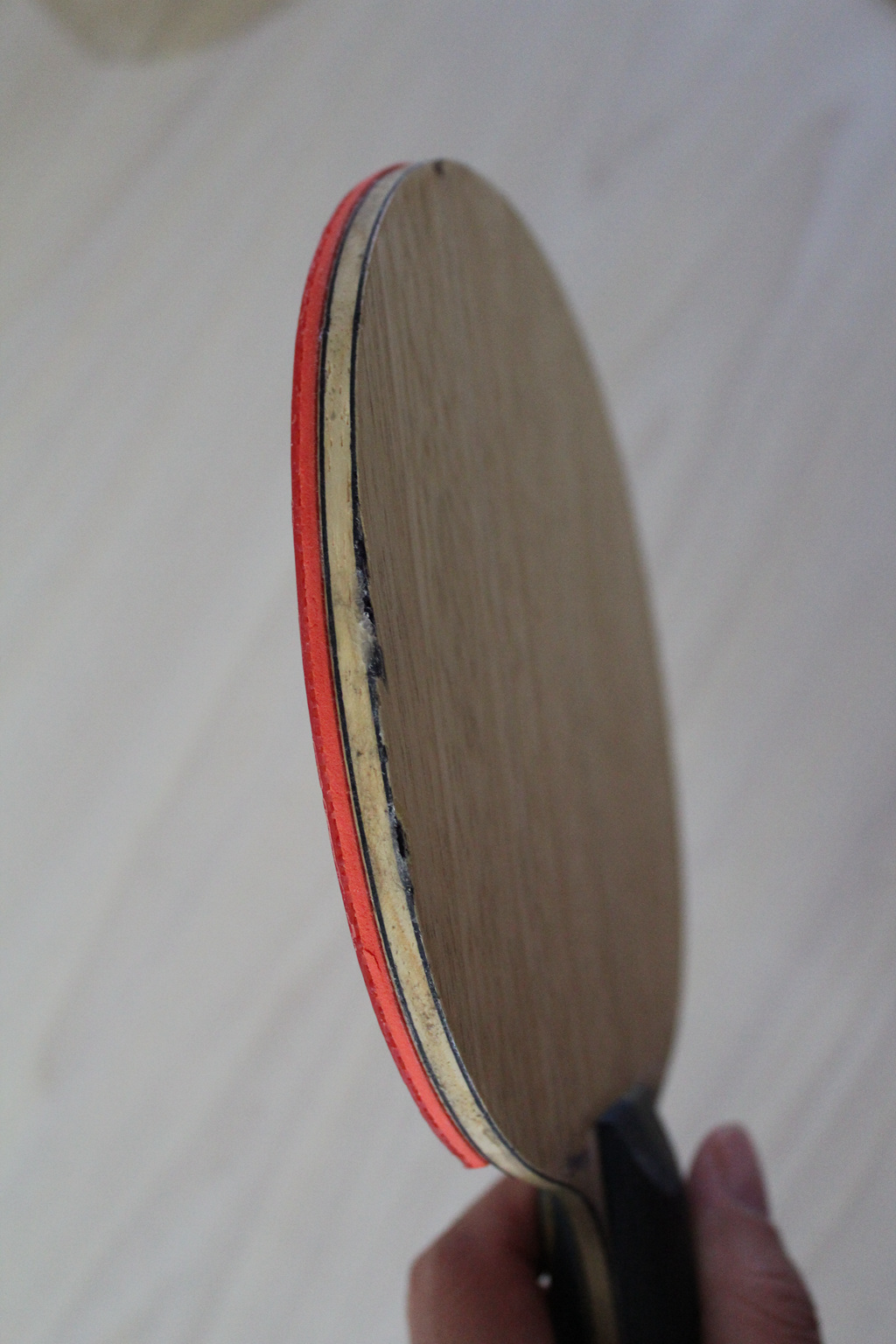 EG+��3+����